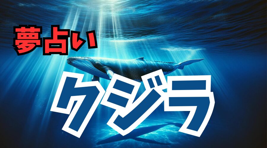 【夢占い】クジラが夢に出て来るときの意味