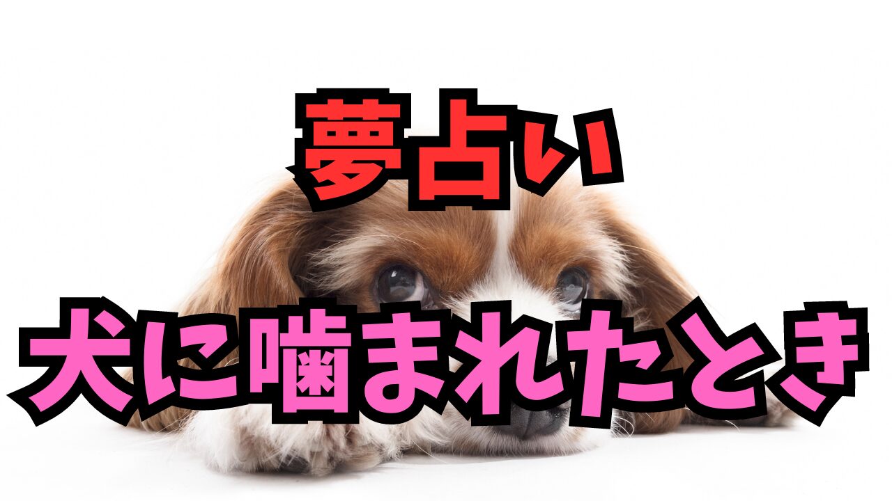 【夢占い】夢で犬に噛まれたときの意味